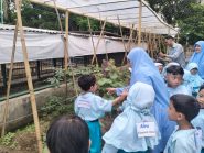Belajar dari kebun : Ketika Alam Menjadi Ruang Kelas Anak